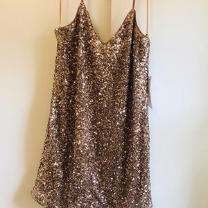 SAM&LAVI Scarlett Sequin Dress!